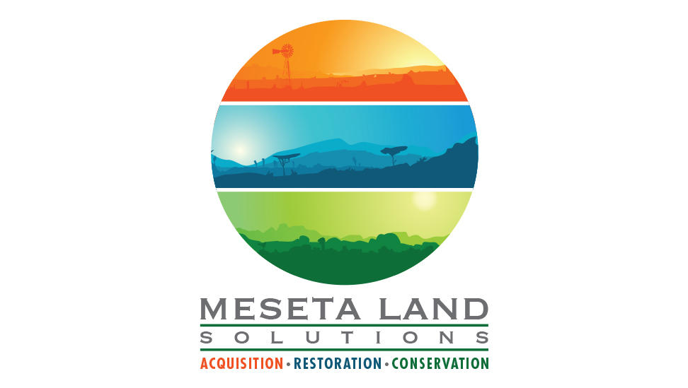Logo Design Austin Meseta Land Solutions